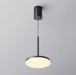 Подвесной светильник Maytoni Technical Plato P076PL-L12W3K-B