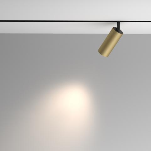Трековый светильник Maytoni Technical Exility 4000K Artisan TR097-2-12W4K-M-BMG