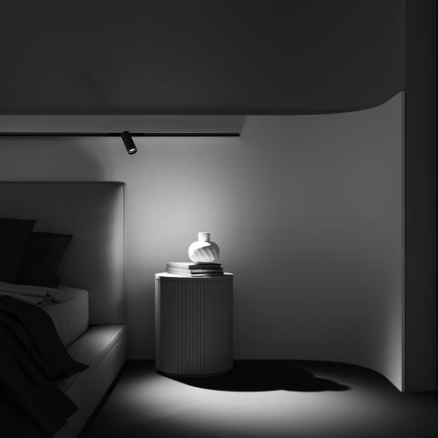 Трековый светильник Maytoni Technical Exility 4000K  Focus LED TR032-2-12W4K-M-BBS