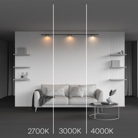 Трековый светильник Maytoni Technical Levity 3000К Zon TR189-1-12W3K-BBS