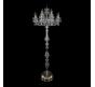 Bohemia Ivele Crystal Торшер Bohemia 1402T1/8+4/195-165 G
