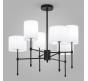 Люстра Eurosvet Notturno 60162/6 черный