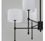 Люстра Eurosvet Notturno 60162/6 черный