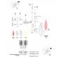 Бра Arte Lamp Felicita A4080AP-2GO