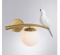 Бра Arte Lamp Eltanin  A3422AP-1GO