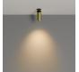 Maytoni Потолочный светильник FOCUS LED 3000K 12W 50°
